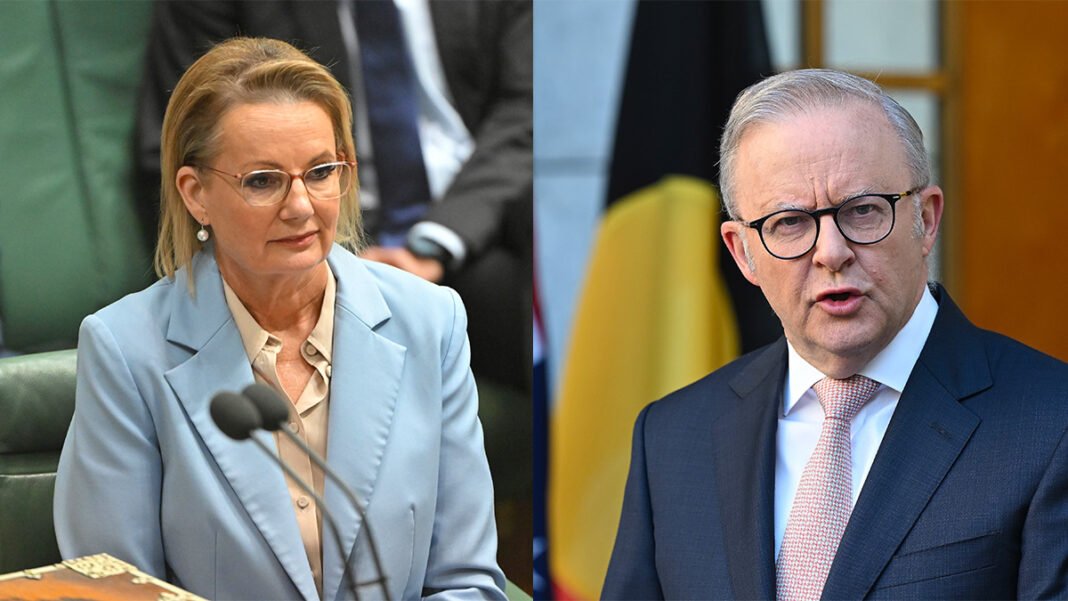 Anthony Albanese rejected claims government spending drives inflation, citing IMF praise and accusing the opposition of talking Australia down.