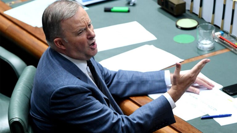 Anthony Albanese avoided answering when Labor will implement the anti-racism framework, prompting a point of order from independent MP Nicolette Boele.