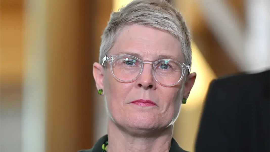 Greens senator Penny Allman-Payne asked a Senate inquiry about ‘the legislative basis for the inability to have human override’ in a controversial algorithm that determines financial support for elderly Australians. Photograph: Mick Tsikas/AAP