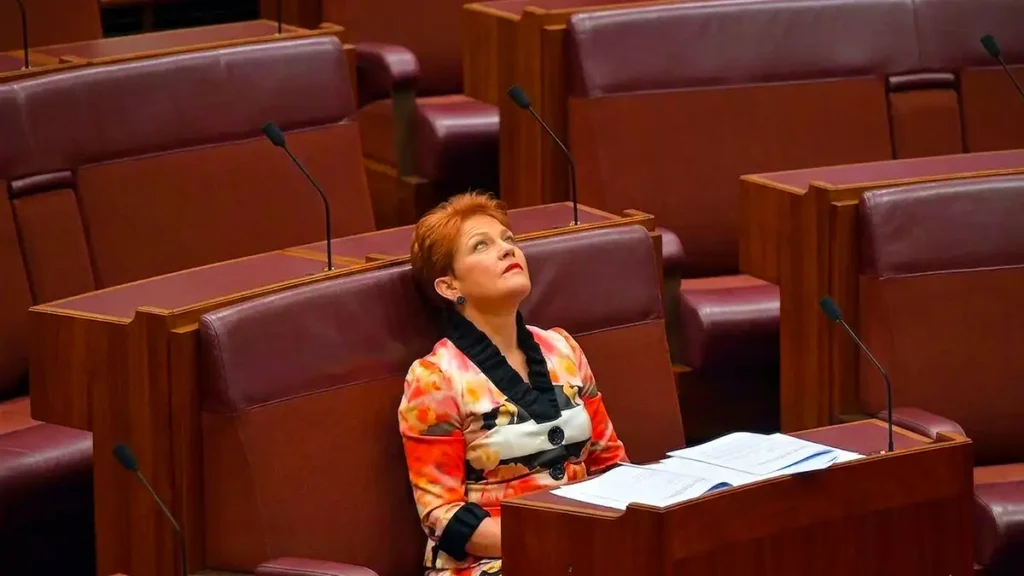 Pauline Hanson in the Senate amid scrutiny of One Nation financial reports.