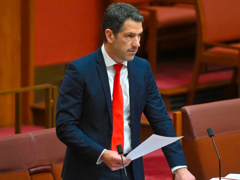 Alex Antic elected SA Liberal state president