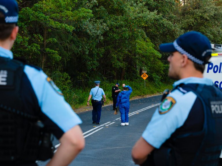 Mother charged after Blue Mountains stabbing