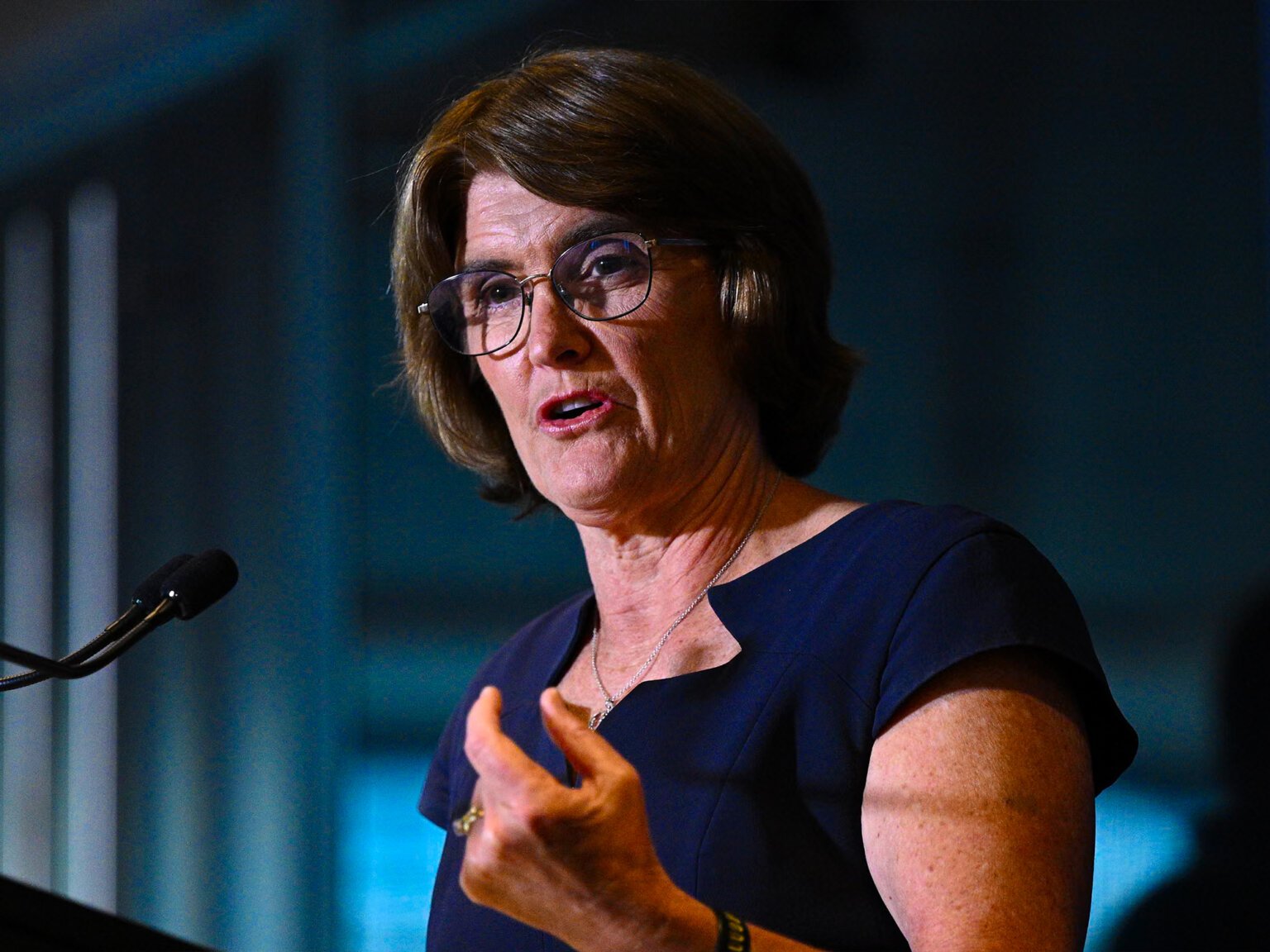 Michele Bullock warns AI may be a bubble