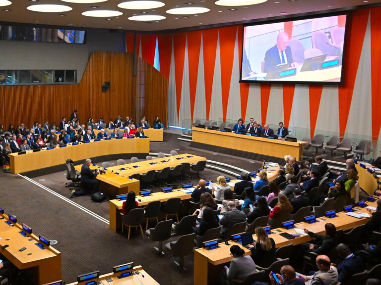 Albanese backs digital safety push at UN