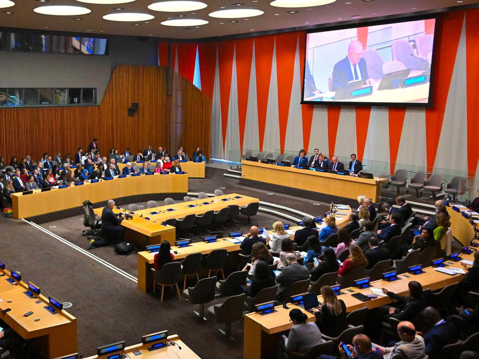 Albanese backs digital safety push at UN