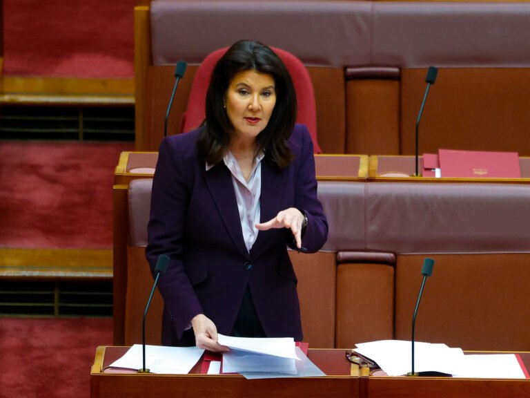 Jane Hume calls AI breach a warning bell
