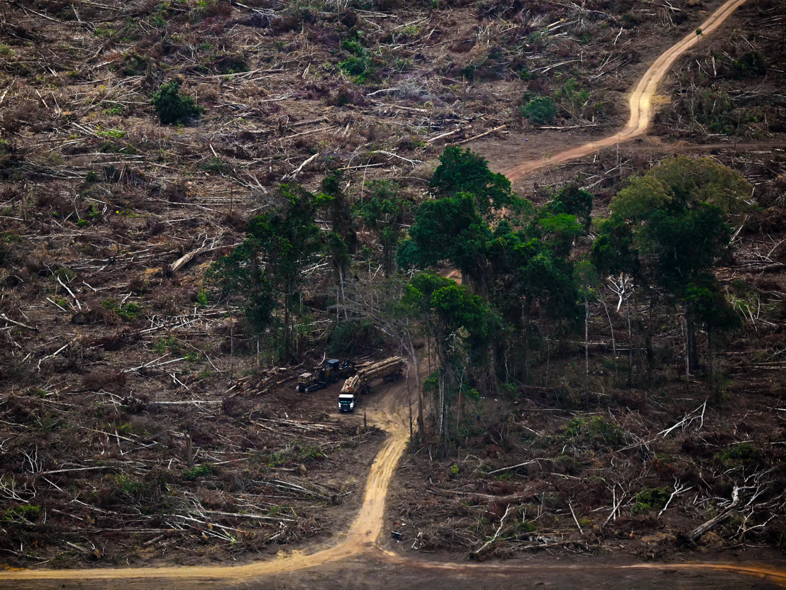 Seven planetary boundaries now breached, scientists warn Scientists Warn Seven Planetary Boundaries Are Breached