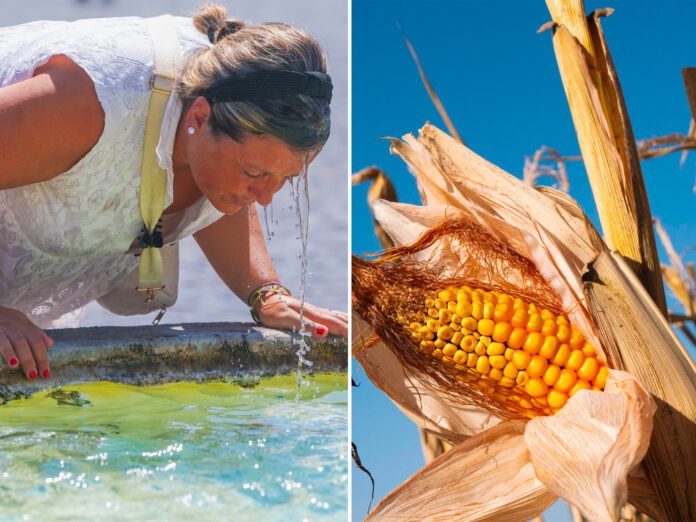 Europe records hottest summer in western region as heat stress intensifies Europe records hottest summer in western region as heat stress intensifies