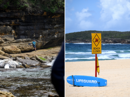 Decomposed whale carcass among rocks at Lurline Bay between Coogee and Maroubra.